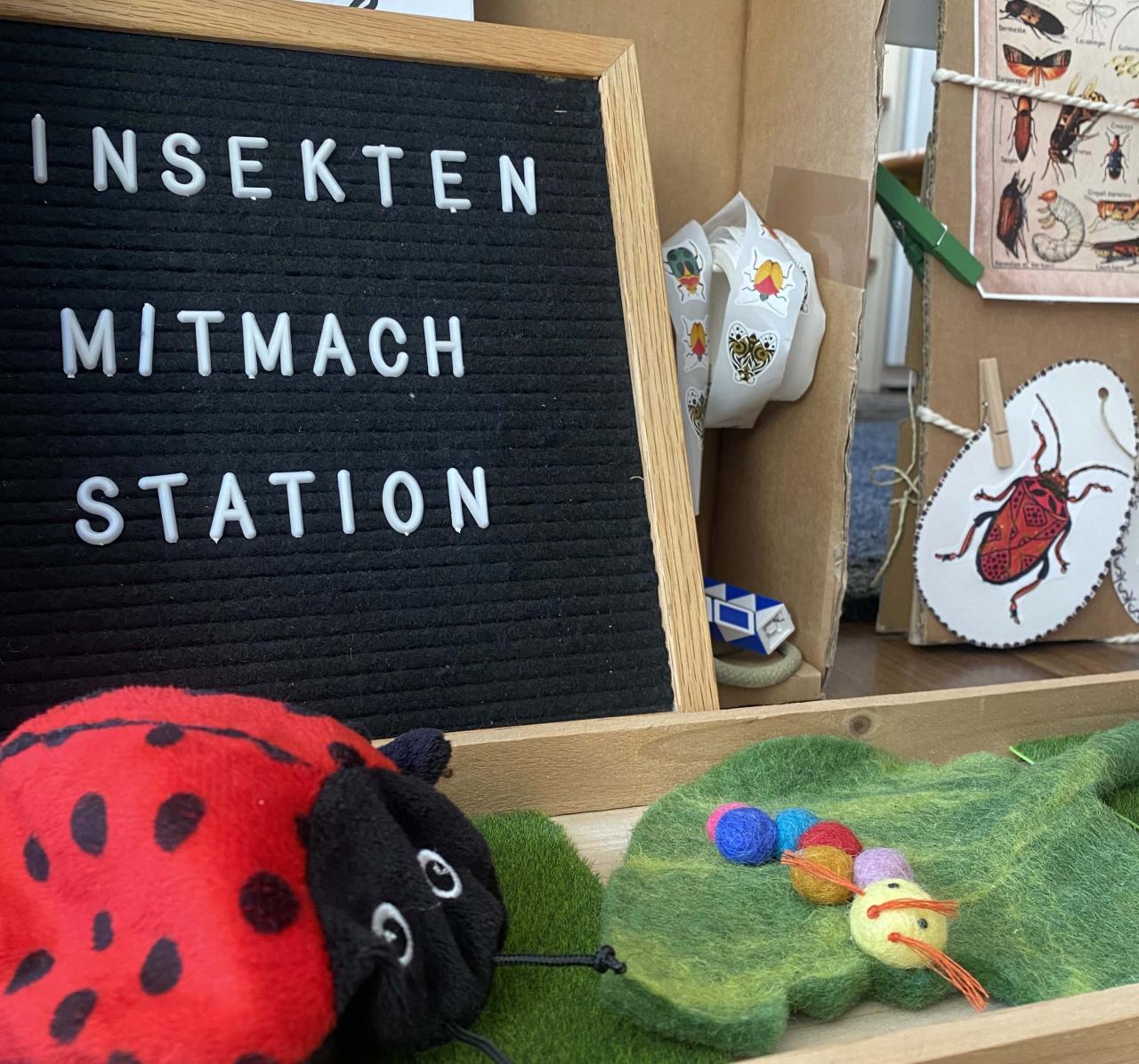 Insekten-Mitmachstation
