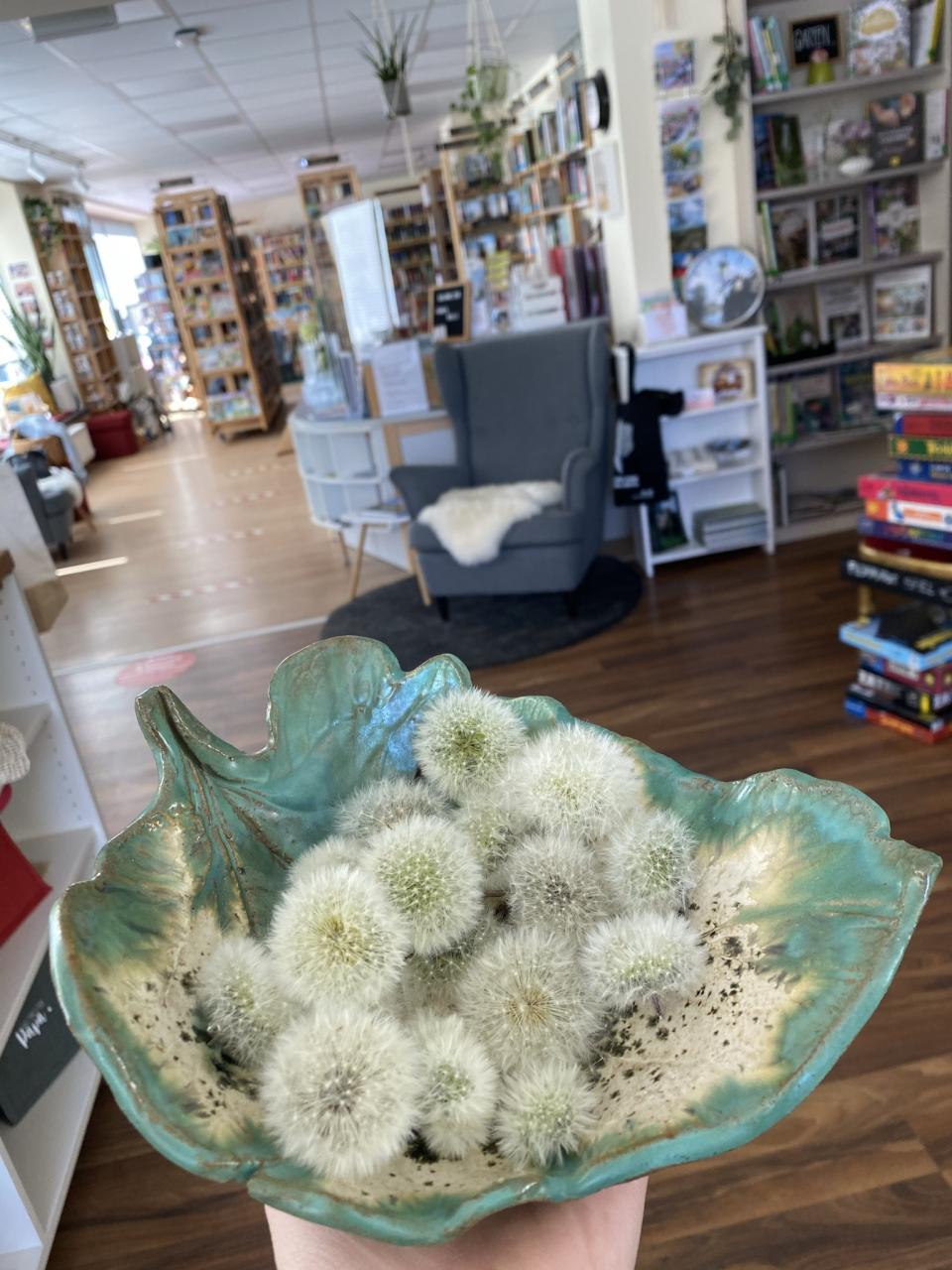Pusteblume