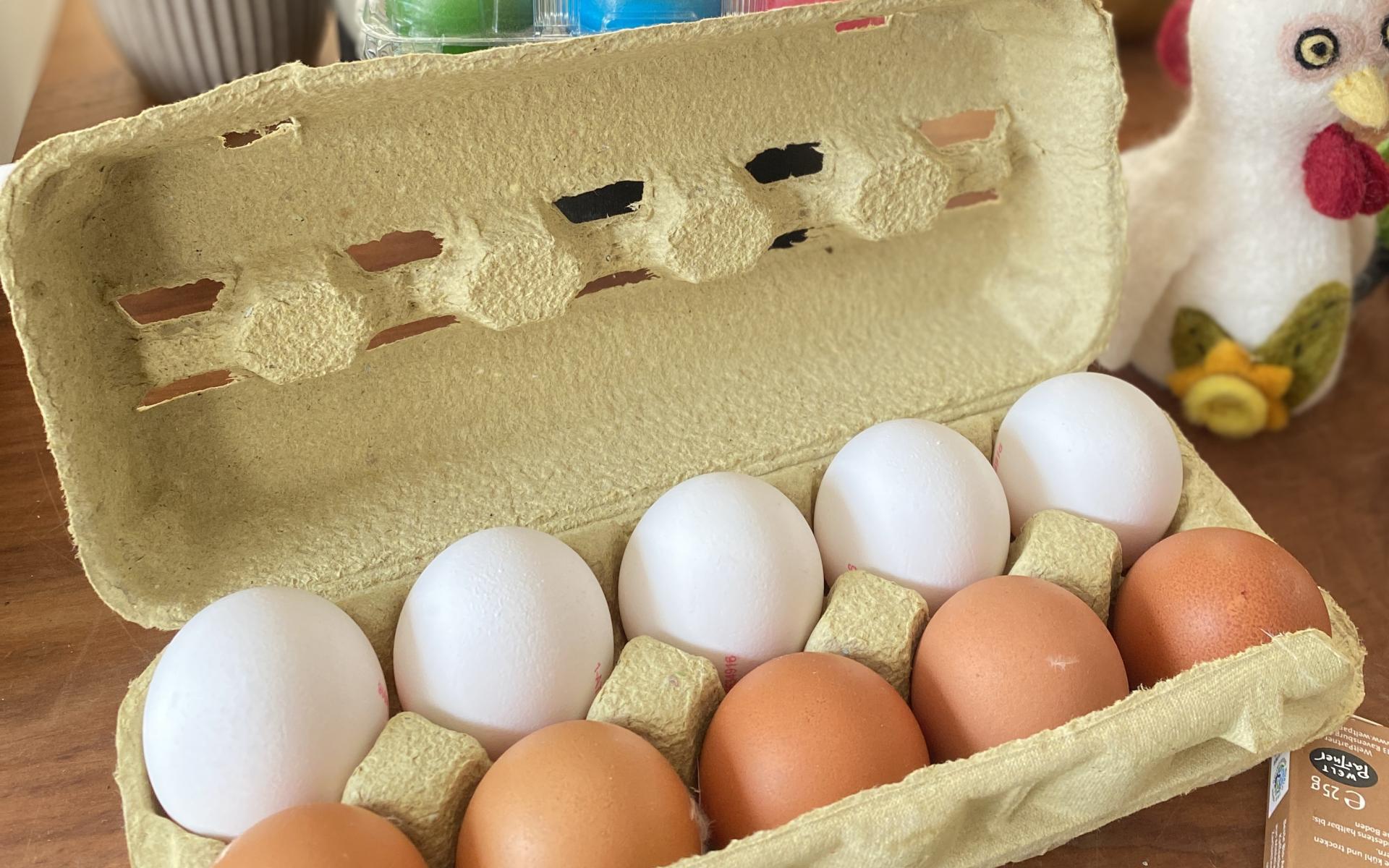 Eine Schachtel mit Eiern