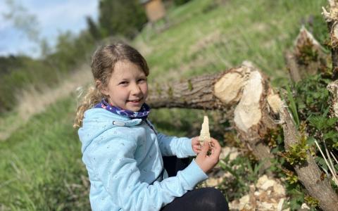 Mädchen vor abgesägten Baum 
